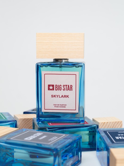 Pánsky parfém SKYLARK --